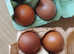 French Copper Maran Fertile Hatching Eggs