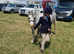 11.2 Welsh Section A Gelding