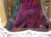 Disney Elsa Frozen Coronation limited edition 5000 doll 2014 (NRFB)