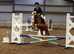 !!13.2 Reg SEC C riding pony!!