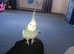 Missing cockatiel