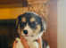One corgi x cavalier puppy ready for her new home