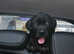 Cane corsos puppies