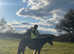 Sad sale of the most amazing kids pony
