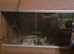 2 Ft Vivarium with heat mat and light fitting.