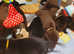 *Top Quality* KC Fully Health Tested 0:0 hips Chocolate Black Labrador puppies