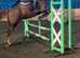 Romanno Mercia (Macy) 9yo 16.1h Oldenburg Mare