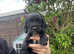 3 girls left **Ready Saturday**