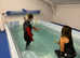 Hydrotherapy for dogs. Swimming for dogs.