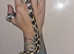 Female king snake