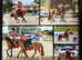 11.1hh genuine, all round LR and/or FR pony