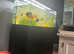 375litre fish tank full set up
