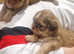 KARASHISHI IMPOSHISHI IMPERIAL PUPPIES
