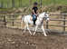 Connemara X mare 15hh