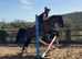 Fun Allrounder