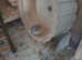 Dwarf hamster no more time wasters