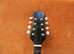 Dragon Back Mandola, fantastic sound, fantastic look!