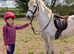 Pretty little grey mare
