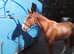 Handsome British Sports Horse. 16.3 chestnut gelding. 7 years old. Happy hacker.