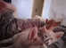 Liberian huskies for rehoming