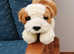 Keel Toys Simply Soft Collection.  Puppy Dog Soft Toy.  Length 8".