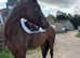 Mother daughter share/ alrounder