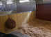 D.I.Y livery spaces available