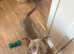 URGENT rehoming
