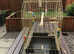 Large size cockatiel cage with toys, in great condition top opening, now reduced price
