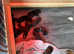 Cane corso puppies ICCF and ABKC registered