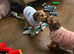 Jack Russel cross Shih Tzu boy