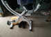 Indoor bicycle in good working condition