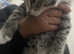 Bengal x kittens ready for new home