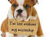 Mobile Microchipping service