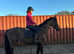 Gorgeous 15.2 mare