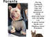 Kc reg vet cert 5* licensed L4 new shade french bulldog pups quality