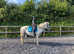 Part Loan 12.1hh DHP