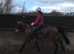 Thoroughbred gelding