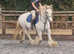 Family cob