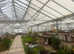 Commercial & Domestic glasshouse maintenance