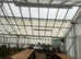 Commercial & Domestic glasshouse maintenance