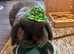 Bonded pair lops