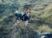 Basenji girl
