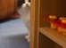 Beautiful Little Kitten (Girl)
