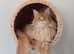 Kittens Maine Coon