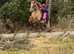 Pony club loving home awaits