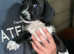 West highland terrier x