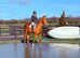 17h Irish sports gelding
