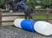11.3/12h (ish) 3Yo Gelding Honest Pony