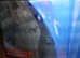 Car Paint Repair in Blemishes and Scratches